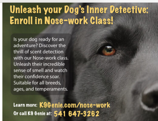 Unleash your dog's inner detective: Enroll in a nose-work class! – Sunriver  Area Chamber of Commerce